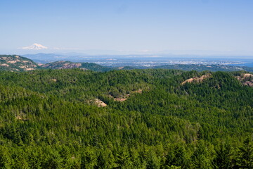 landscape view of Victoria and Mt. Baker 