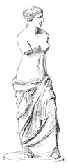Venus, vintage illustration © Morphart