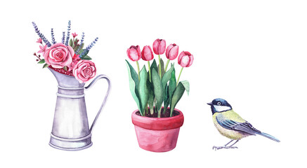 Watercolor flower arrangement in a pitcher, tit bird and tulips in pot. Farm and garden interior decoration