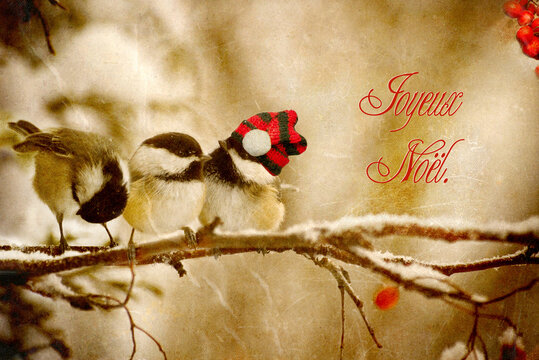 Vintage style Christmas card with French text.
