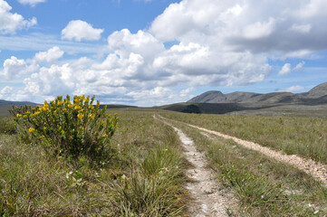 Fototapeta na wymiar hiking at serra do cipo national park in central brazil