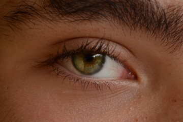 Obraz premium Detalle de ojo verde y pestañas