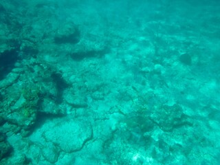 Fototapeta na wymiar Under the sea in the Bahamas