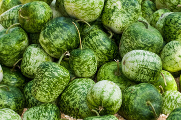 Apple gourds in a basket