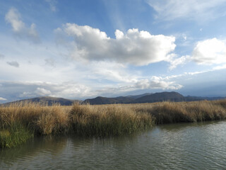 clouds over the lake filled with reed