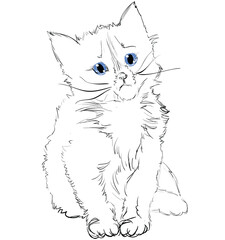 Vector Illustration of Adorable Blue-Eyed Cat on Black. Sketched Little Cute Kitten. Monochrome Freehand Drawing. Kids Style Graphic. Stylized Cartoon Beautiful Kitty. Realistic Drawing. Animal Art.