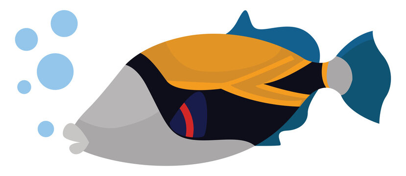 Reef triggerfish, illustration, vector on white background