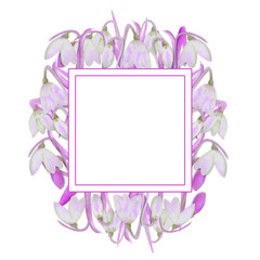 Romantic square frame with snowdrops on the outer edge on a white isolated background. Watercolor illustration in lilac tones