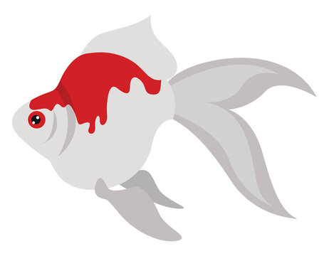 Tamasaba fish, illustration, vector on white background