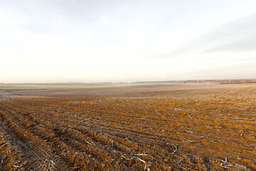plowed fertile soil
