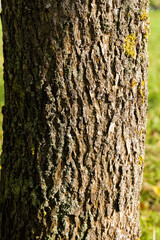 different plants during the autumn season