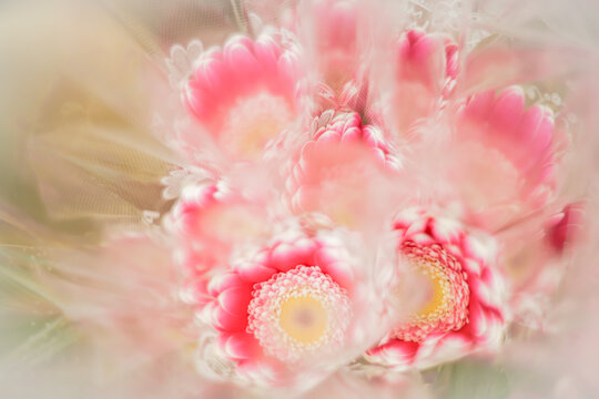 401 Best 花鳥風月 Images Stock Photos Vectors Adobe Stock 401 Best 花鳥風月 Images Stock Photos Vectors Adobe Stock
