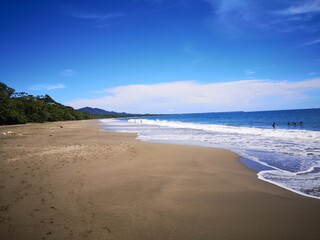 beach caribbean 