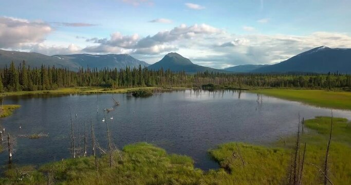 Scenic summer Yukon flight above reflective pond lake with two white swans swimming by green tree forest towards Mount Ingram on sunny blue sky day, Ibex valley, Canada, overhead aerial approach