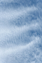 Blue sky and thin striped white cloud layer as a nature background
