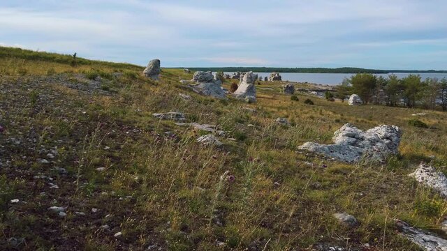 Large field of rauk rock formations near shore at island of Gotland