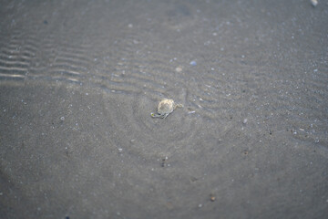 footprint on the sand