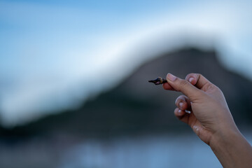 hand holding a small fish