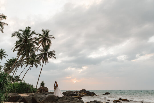 Just married couple standing on sea cliff under palm tree and enjoy view on tropical sand beach. Back view bride and groom looking at the blue ocean - Powered by Adobe