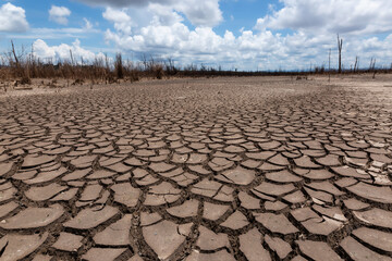 Fototapeta premium Earth ground crack with dust and rough dry surface texture ,Drought land lack of water. Global warming and greenhouse effect concept.