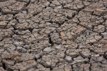 Earth ground crack with dust and rough dry surface texture ,Drought land lack of water. Global warming and greenhouse effect concept.