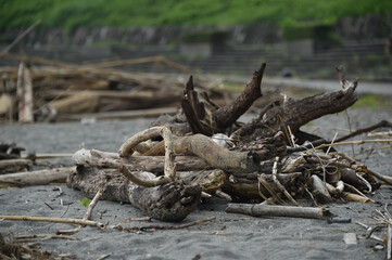 海辺に打ち上げられた漂流物やゴミ