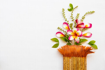 colorful flowers frangipani local flora of asia with paintbrush in spring season arrangement flat...
