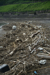 Obraz premium 海辺に打ち上げられた漂流物やゴミ