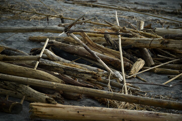 海辺に打ち上げられた漂流物やゴミ