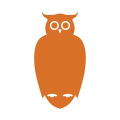 owl