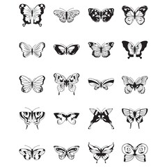 Obraz premium set of butterfly icons