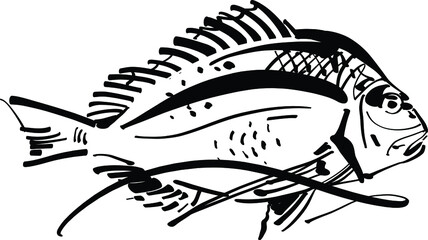 Fototapeta premium hand drawn fish