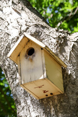 鳥小屋、木箱、植物、緑、樹木、木、公園、森、自然、葉、木の葉