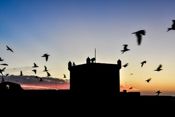 view of Essaouira City of Morocco Africa