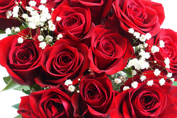 fresh red roses in a bouquet as background