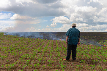 Man farmer looking over burning crop field