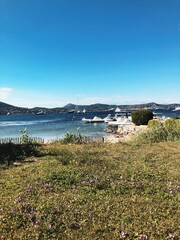 Fototapeta premium view of bay in Monaco, Monte Carlo, nature, seaside, coastal town, cote d'azur