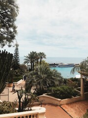 palm trees in Monaco, Monte Carlo, bay, seaside, France, cote d'azur