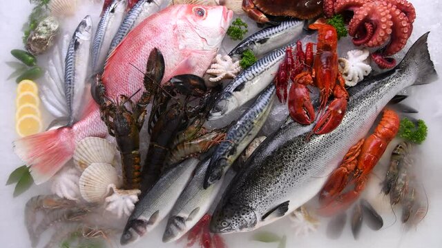 Variety of fresh seafood on ice. Fresh salmon, sea bass, red snapper, mackerel, crab, lobster, shrimp, black mussels, oyster, scallop and octopus on ice with ice smoke clouds.