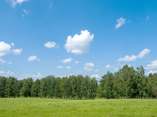 Green field and forest. Clouds in the blue sky. Summer sunny day