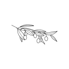Obraz na płótnie Canvas Olive Branch with leaves and with Fruit. Outline Botanical leaves In a Modern Minimalist Style. Vector Illustration.