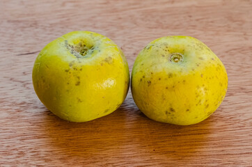 Ripe White Sapote