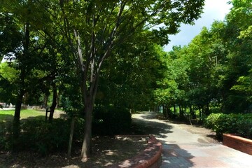 alley in the park