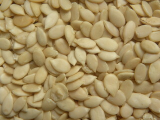 White color raw hulled Watermelon seeds