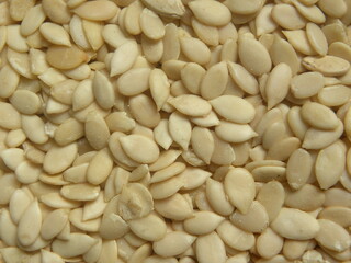 White color raw hulled Watermelon seeds