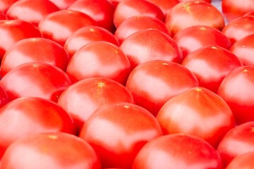 Solid background of fresh ripe and natural red tomatoes