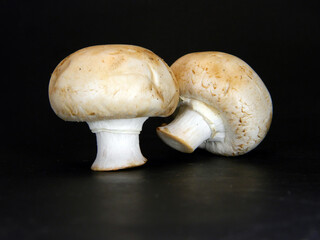 white mushroom isolated on black background