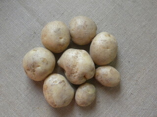 Fototapeta premium Brown color raw whole potatoes