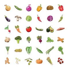 vegetable and fruit collection