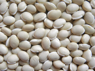White color raw whole dried Hyacinth beans
